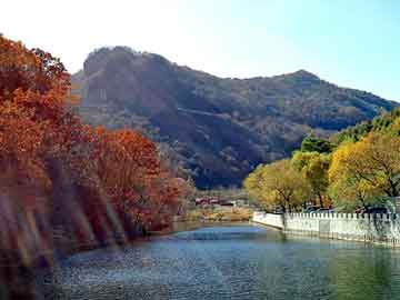 澳门二四六天天彩图库，甲虫车